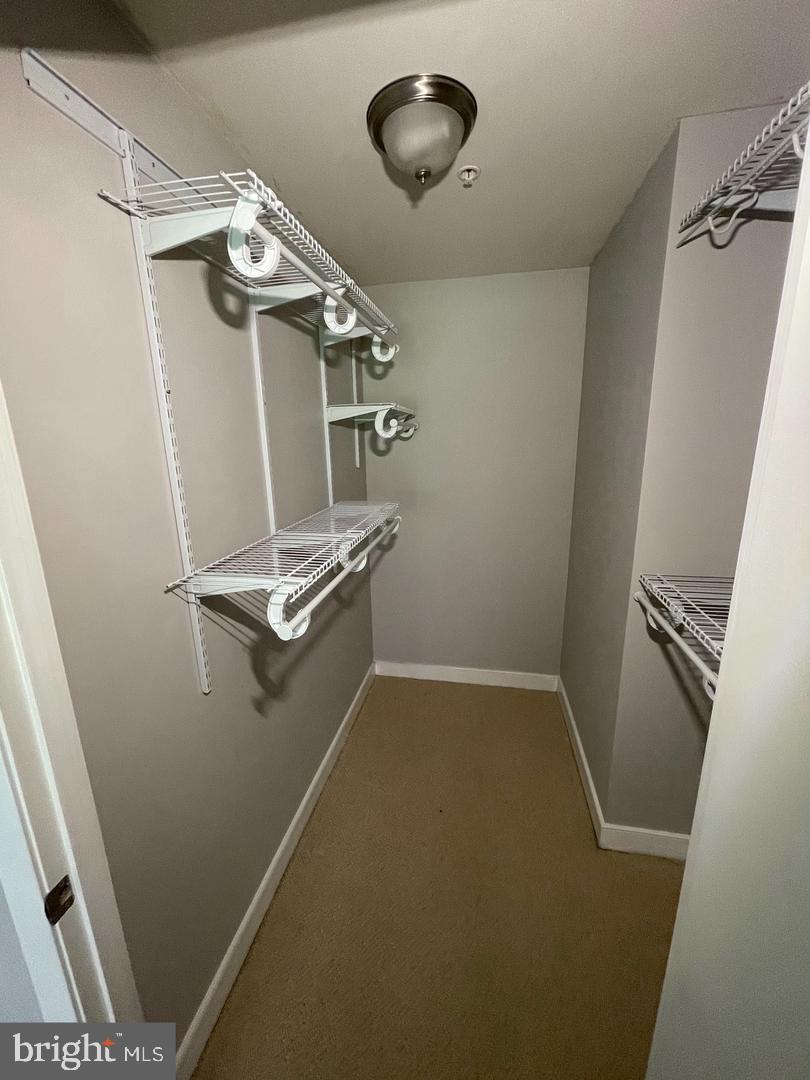 820 N Pollard St #515 Property Photo 12