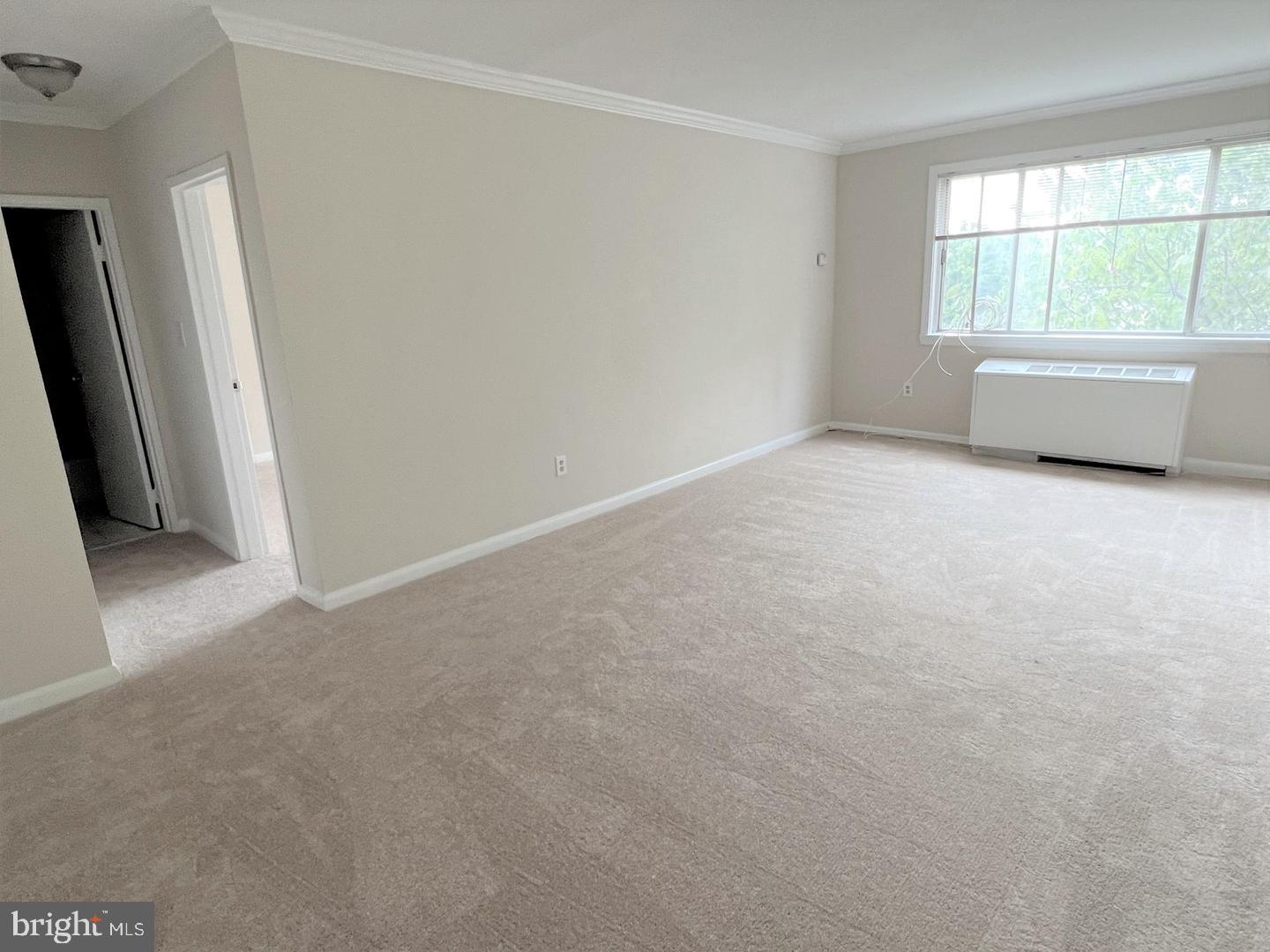 3601 5th St S #506 Property Photo 15