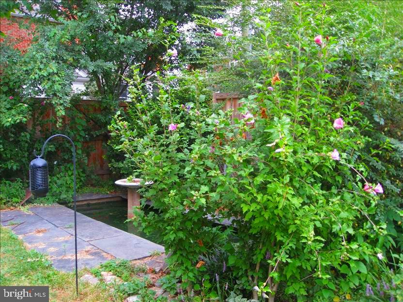 202 E Spring St Property Photo 9