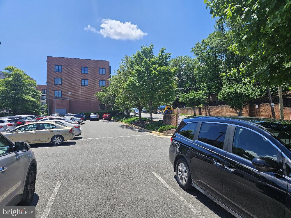 50 S Pickett St S #228 Property Photo 17