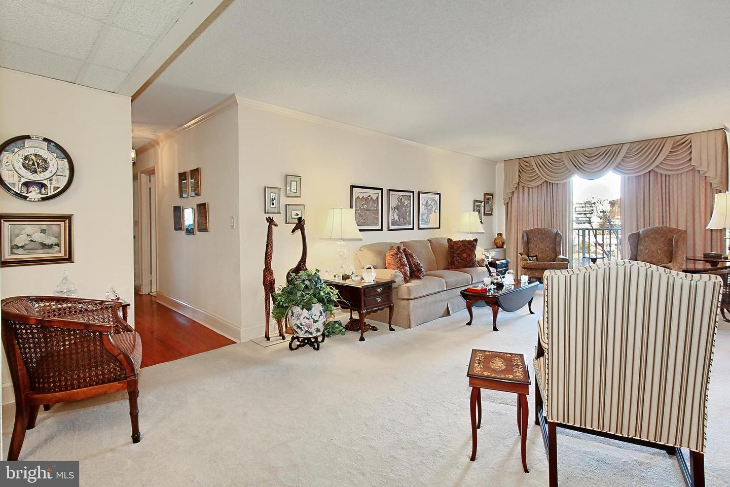 1225 Martha Custis Dr #319 Property Photo 6