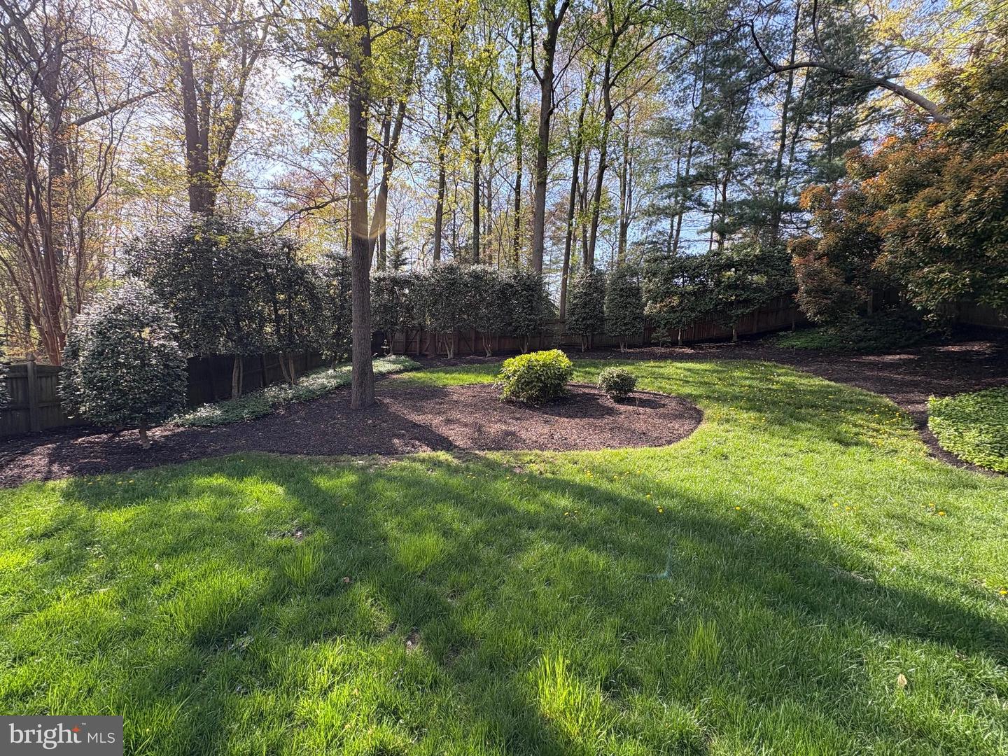 1106 N Howard St Property Photo 3
