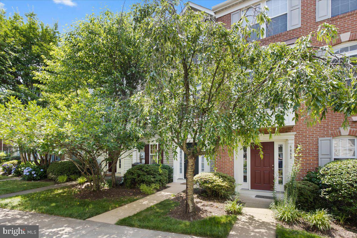 5831 Pearson Ln Property Photo 2