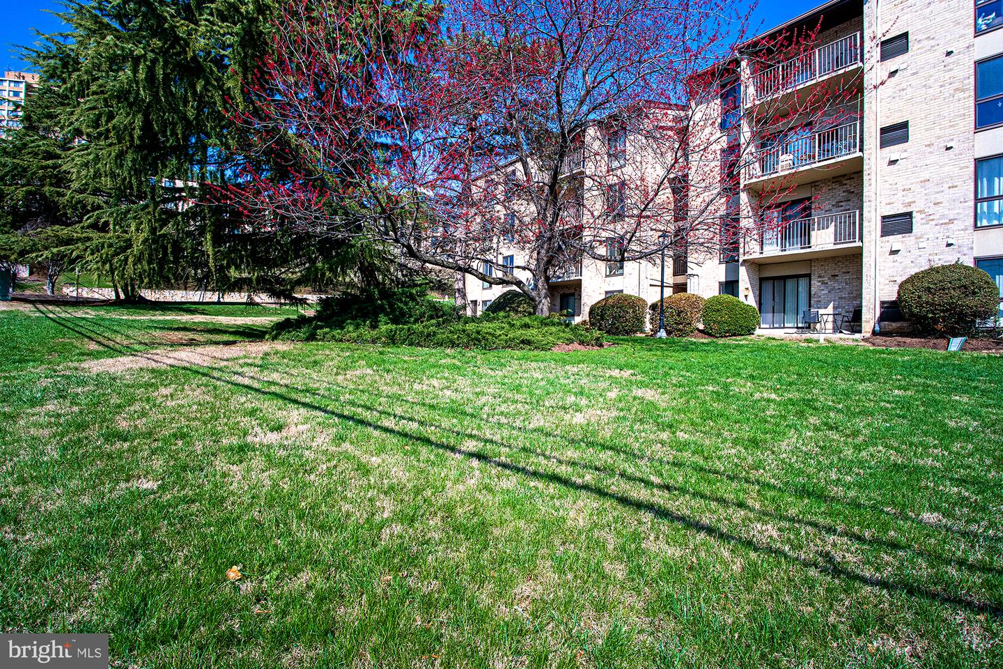 6141 Edsall Rd #b Property Photo 20