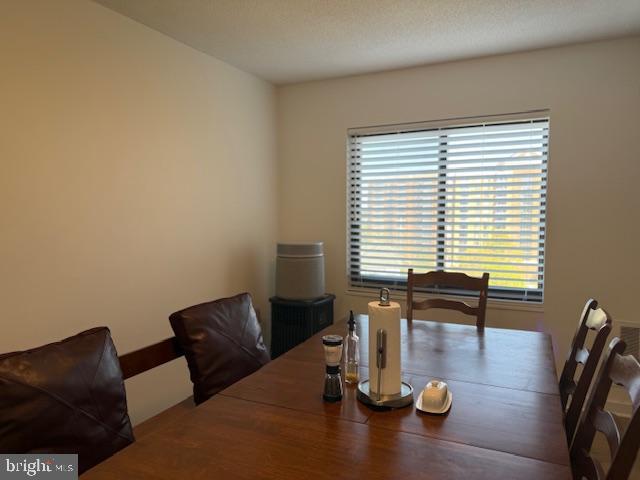 203 Yoakum Pkwy #1004 Property Photo 19