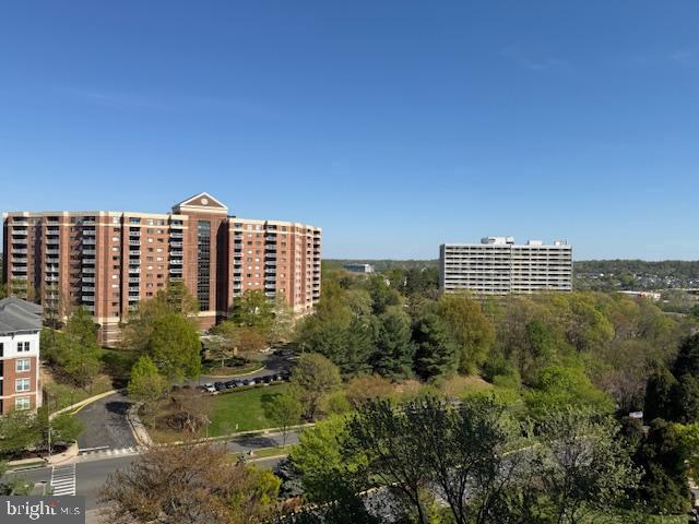 203 Yoakum Pkwy #1004 Property Photo 40