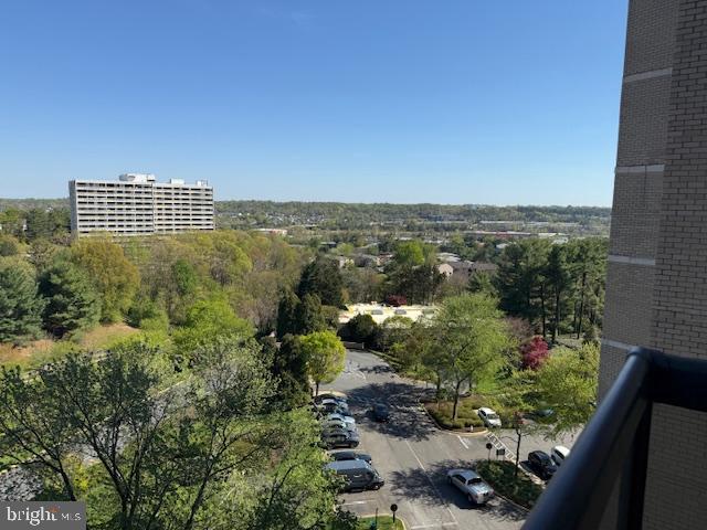 203 Yoakum Pkwy #1004 Property Photo 41