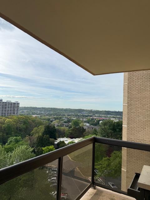 203 Yoakum Pkwy #1004 Property Photo 43