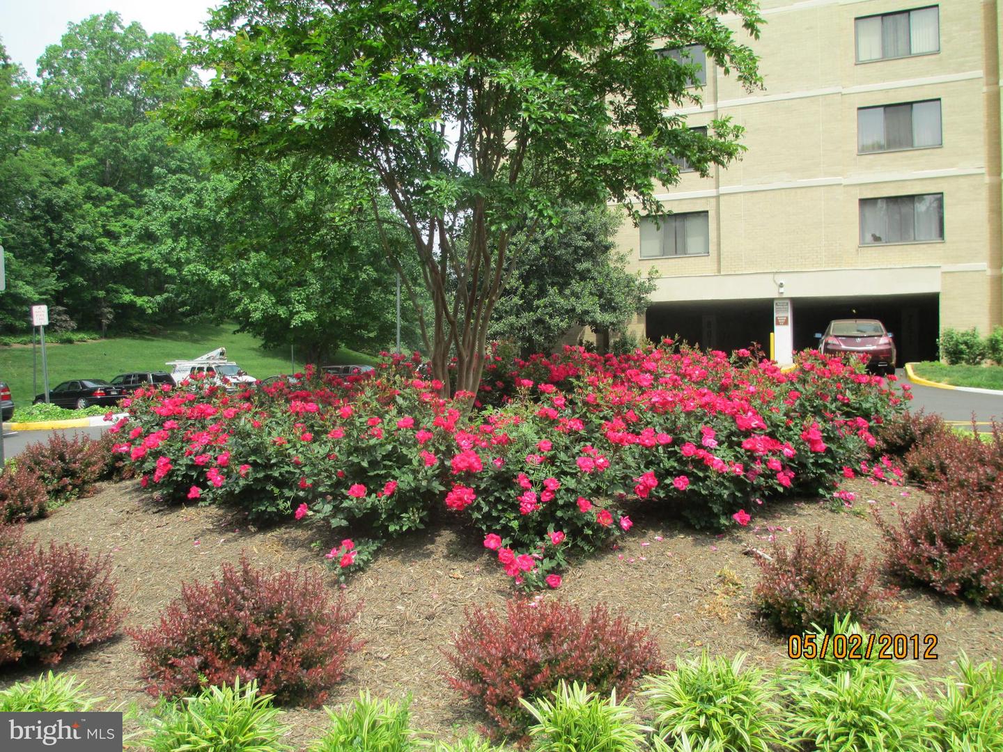 203 Yoakum Pkwy #1004 Property Photo 49