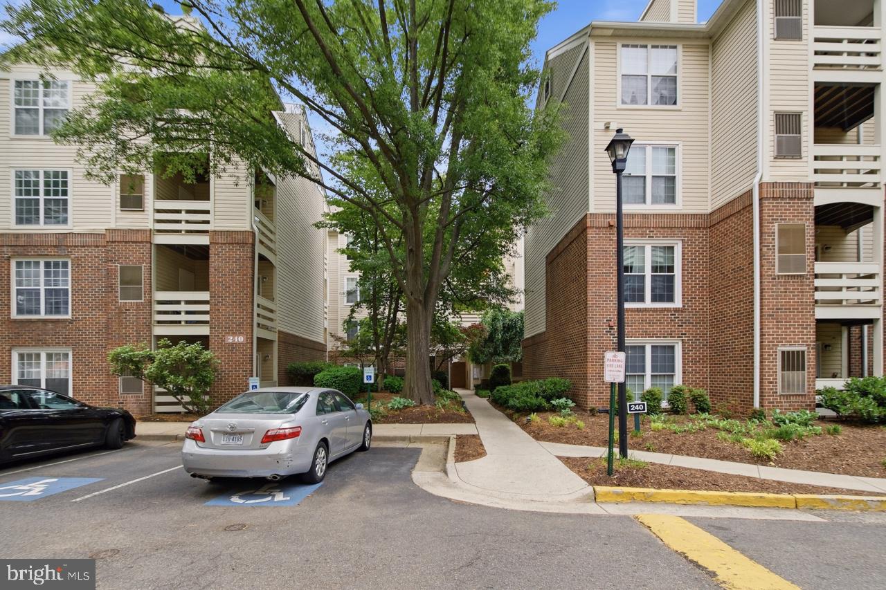 240 S Reynolds St #212 Property Photo 2