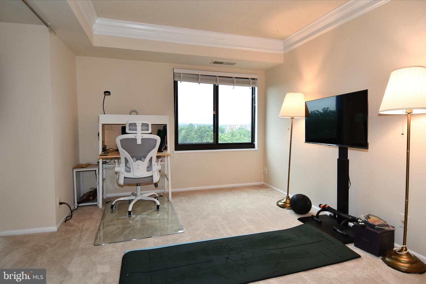 205 Yoakum Pkwy #1224 Property Photo 21