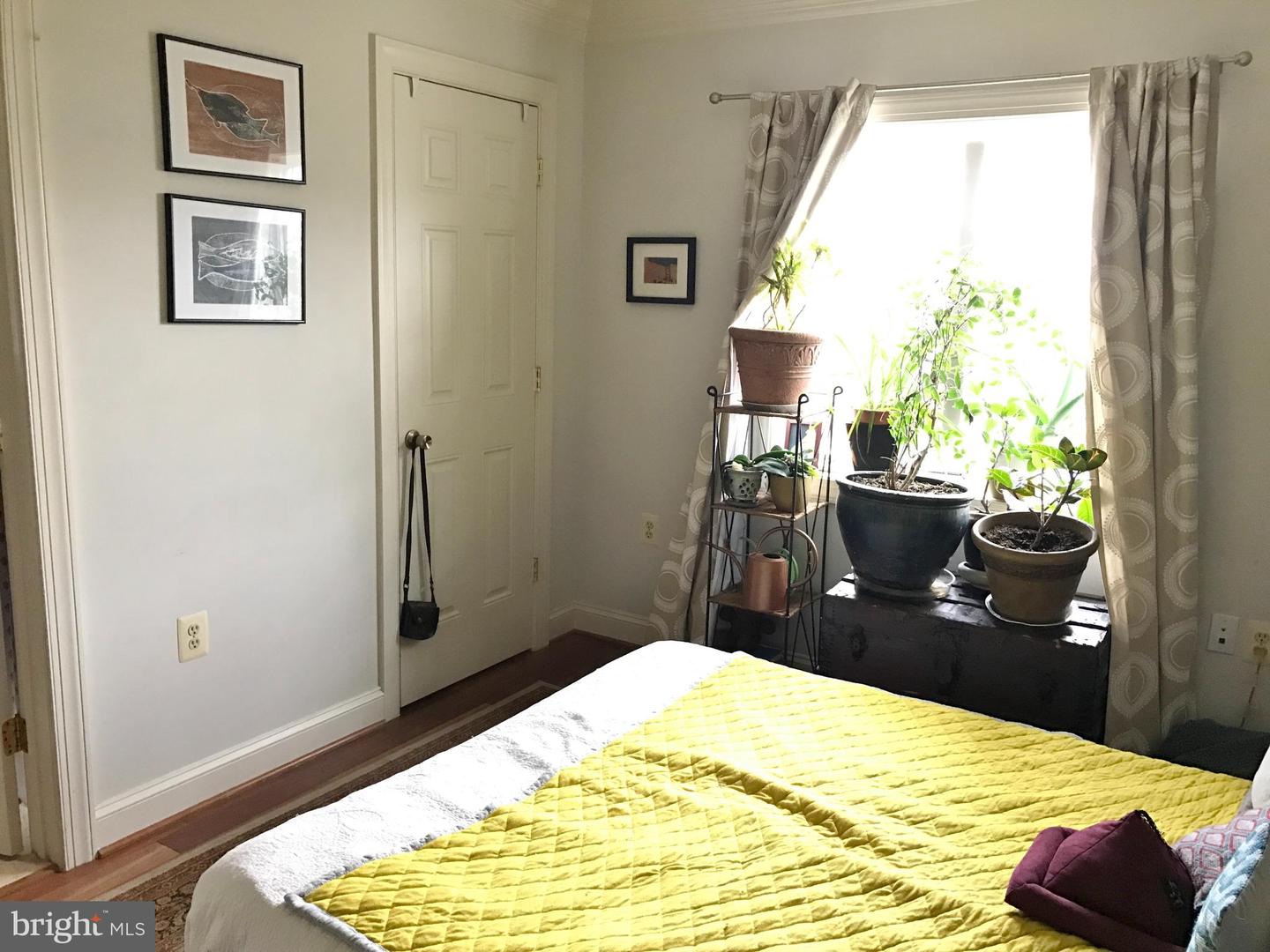 1219 Oronoco St #203 Property Photo 20