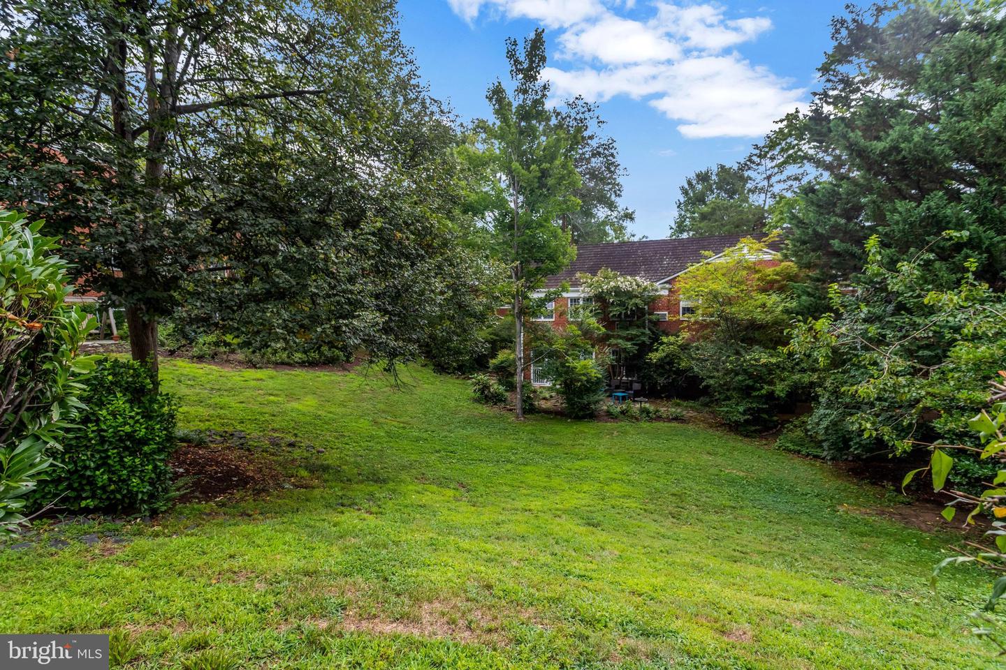3413 Martha Custis Dr Property Photo 18