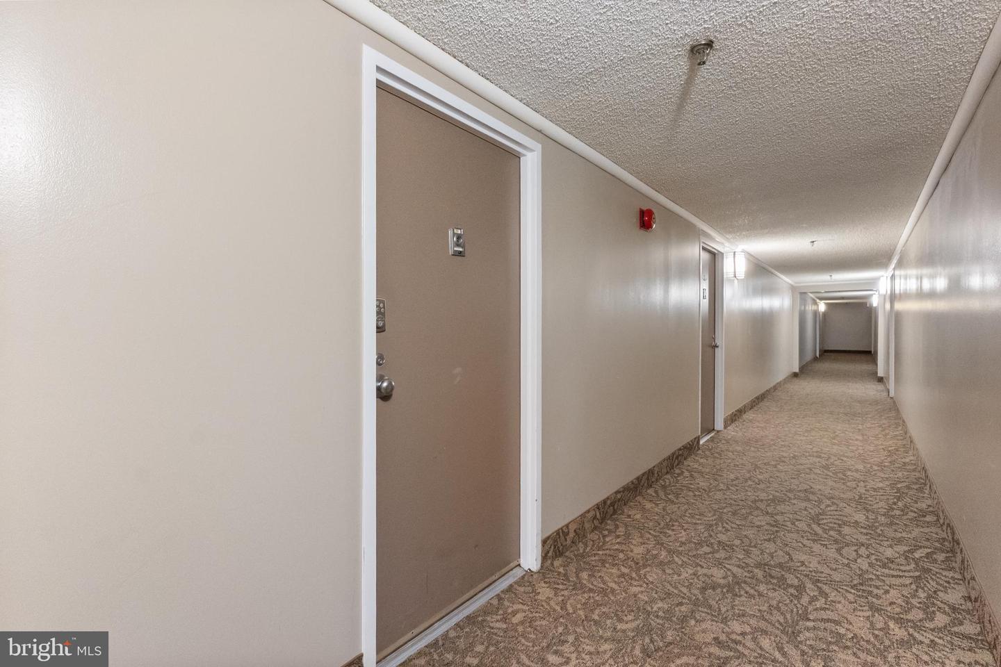 5911 Edsall Rd #201 Property Photo 2