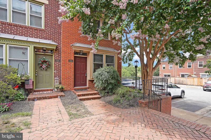 1533 Oronoco St Property Photo 1