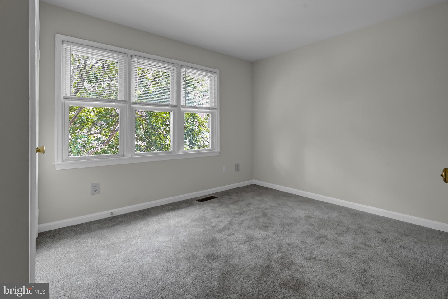 1533 Oronoco St Property Photo 27