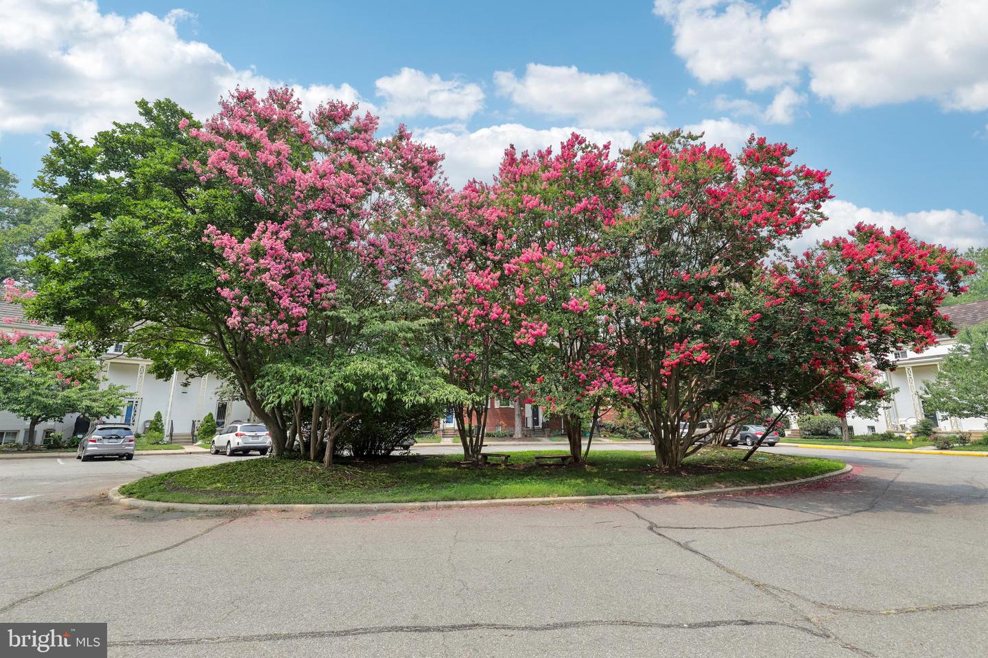 1622 Ripon Pl Property Photo 26