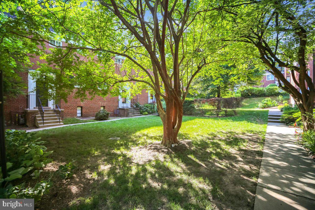 3702 Valley Dr Property Photo 34