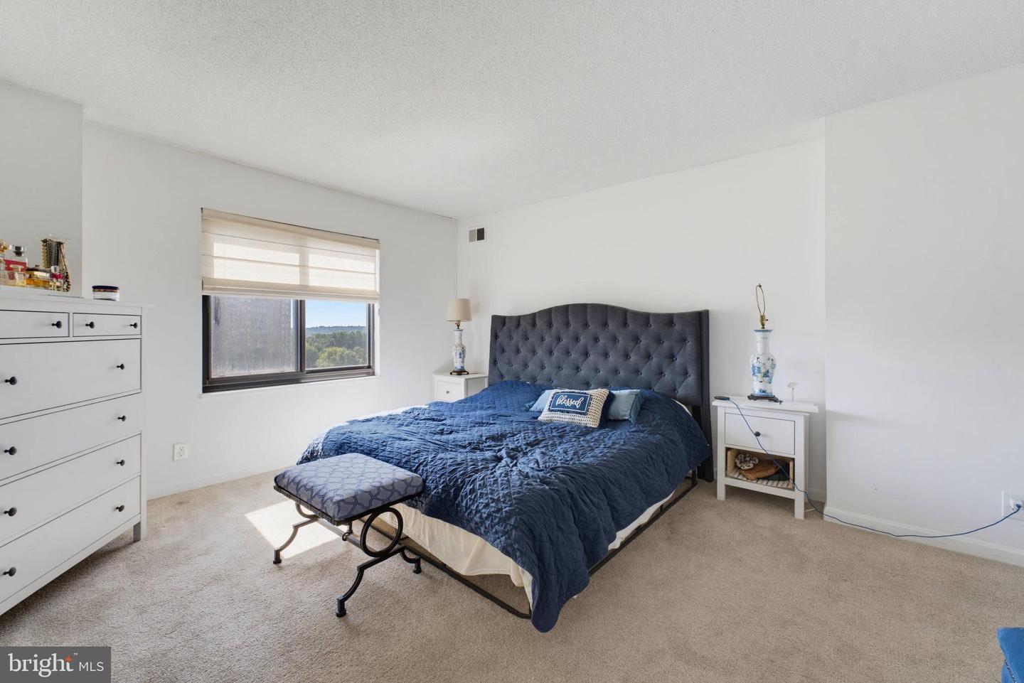 203 Yoakum Pkwy #910 Property Photo 13