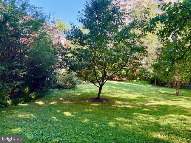 1244 Martha Custis Dr Property Photo 22