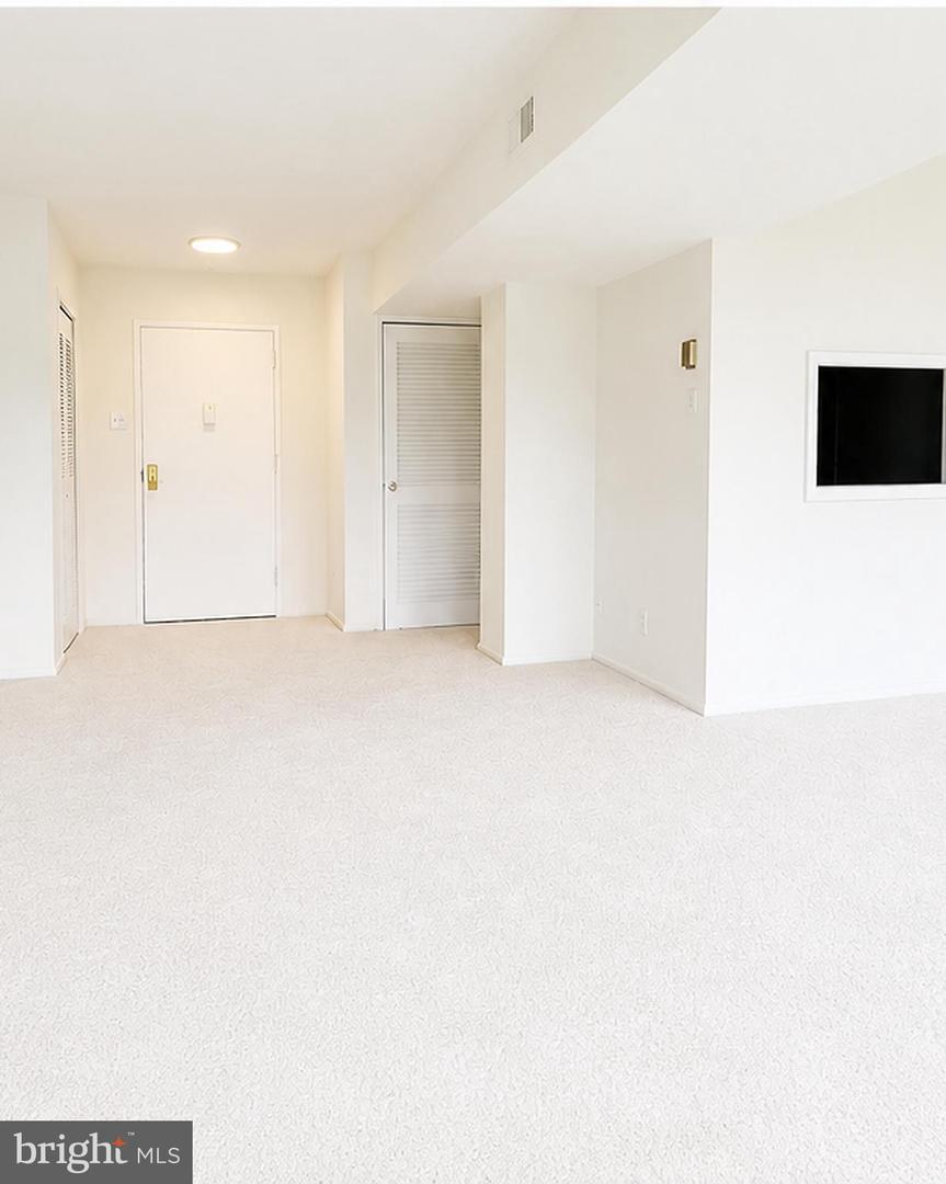 5340 Holmes Run Pkwy #907 Property Photo 4