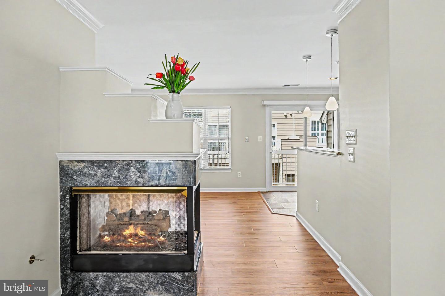 169 Martin Ln Property Photo 14