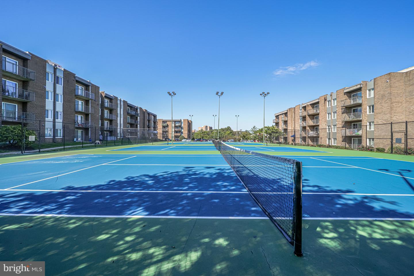 4 S Van Dorn St #602 Property Photo 65
