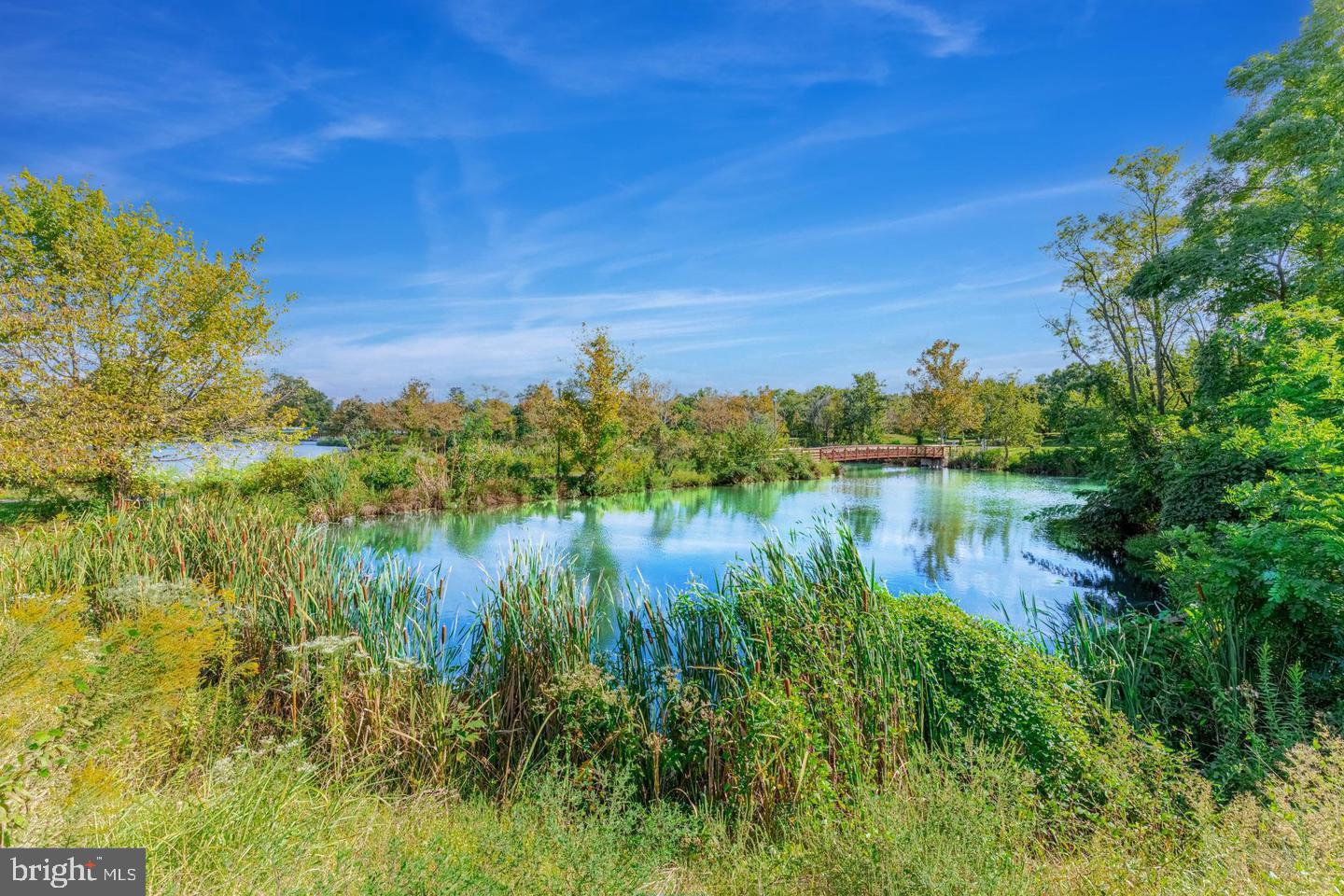 400 Cameron Station Blvd #421 Property Photo 34