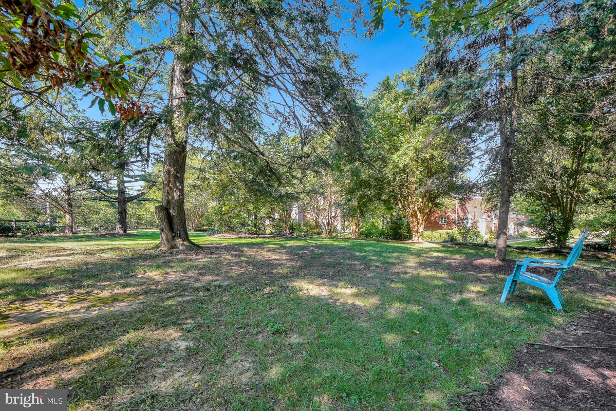 1919 N Quaker Ln Property Photo 31