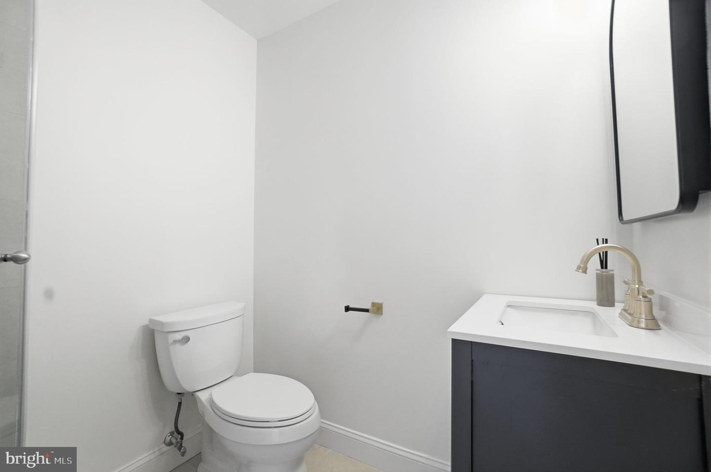 3839 Watkins Mill Dr Property Photo 32
