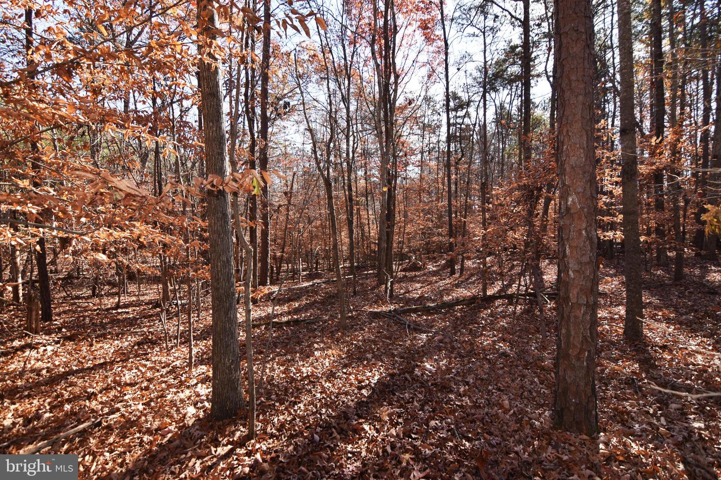 0 Rosser Rd Property Photo 11
