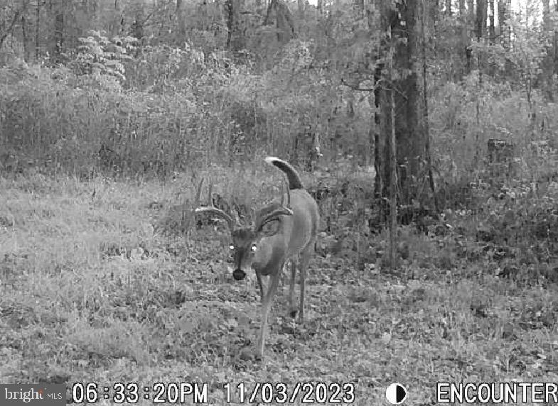 0 Plank Rd Property Photo 99