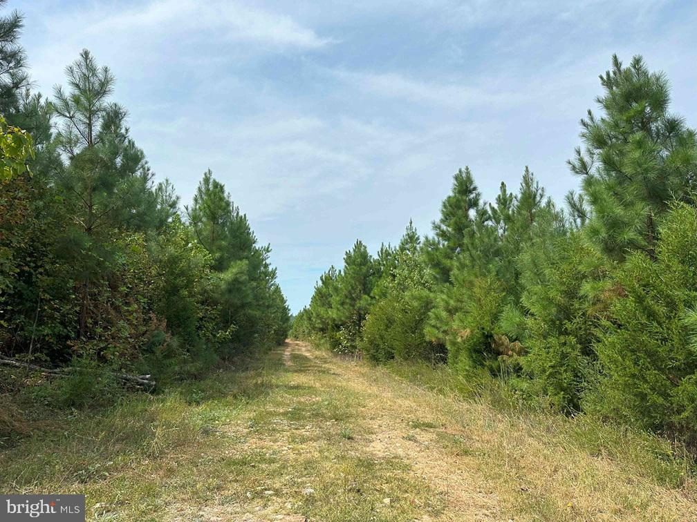 Penlan Road (rt. 671) (tract: Pendland-3) Property Photo 1