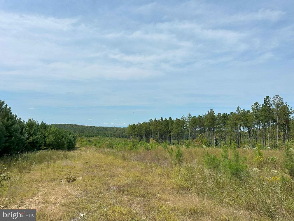 Ridge Road And Penlan Road (tract: Penland 6 & 7) Property Photo 1