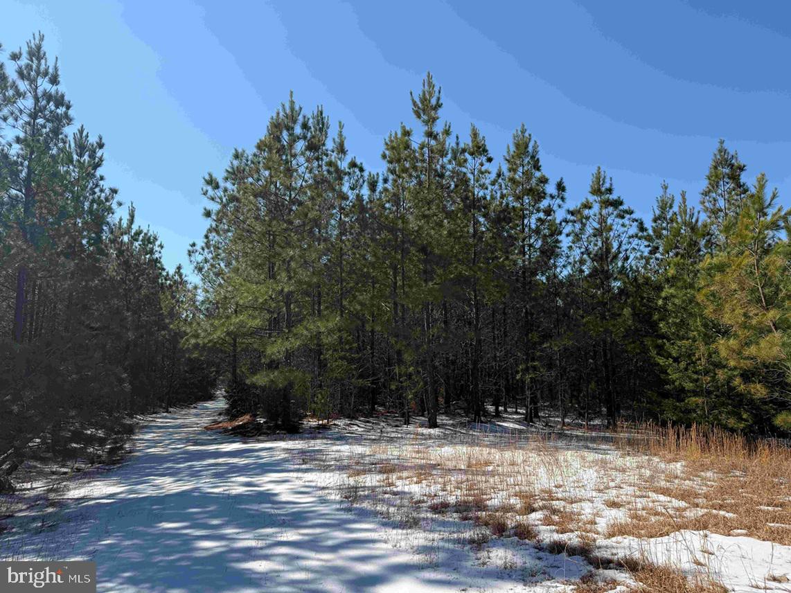 State Hwy. 15 (tract: Tonguequarter) Property Photo 2