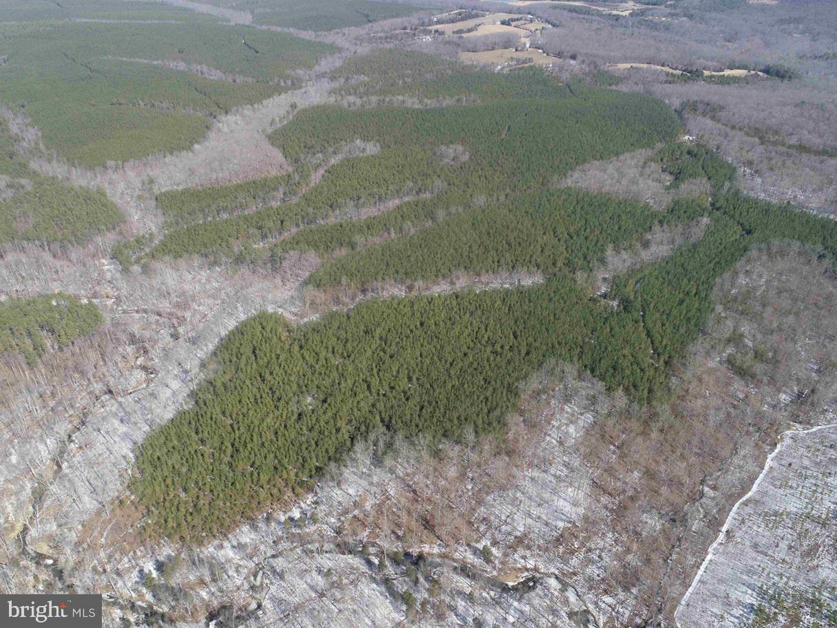 State Hwy. 15 (tract: Tonguequarter) Property Photo 6