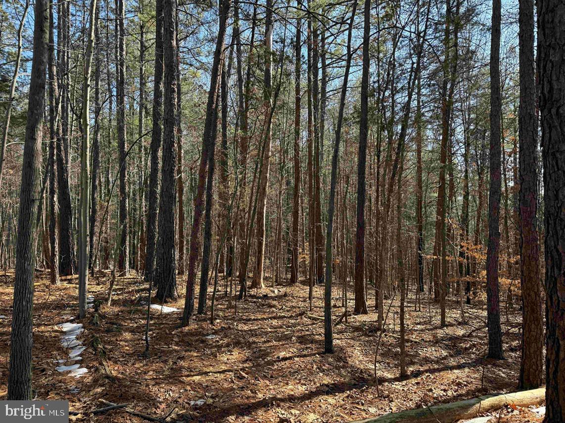 State Hwy. 15 (tract: Tonguequarter) Property Photo 11