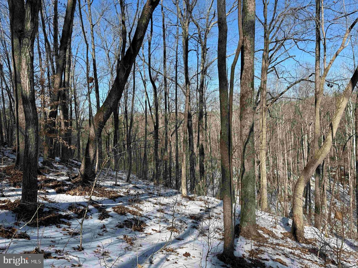 State Hwy. 15 (tract: Tonguequarter) Property Photo 12