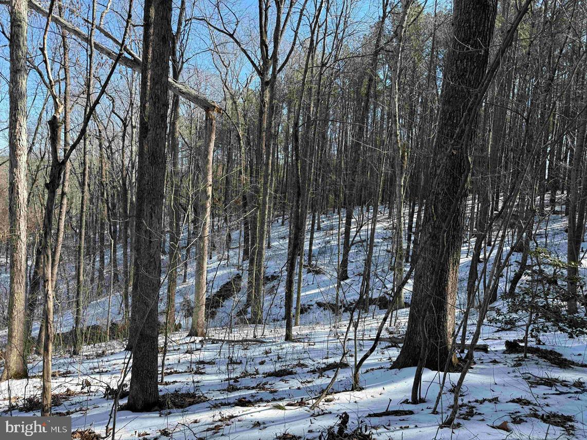 State Hwy. 15 (tract: Tonguequarter) Property Photo 13