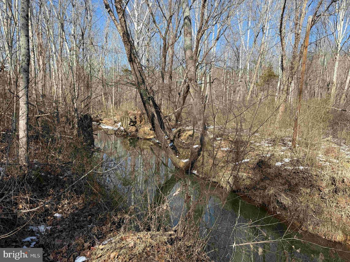 State Hwy. 15 (tract: Tonguequarter) Property Photo 14