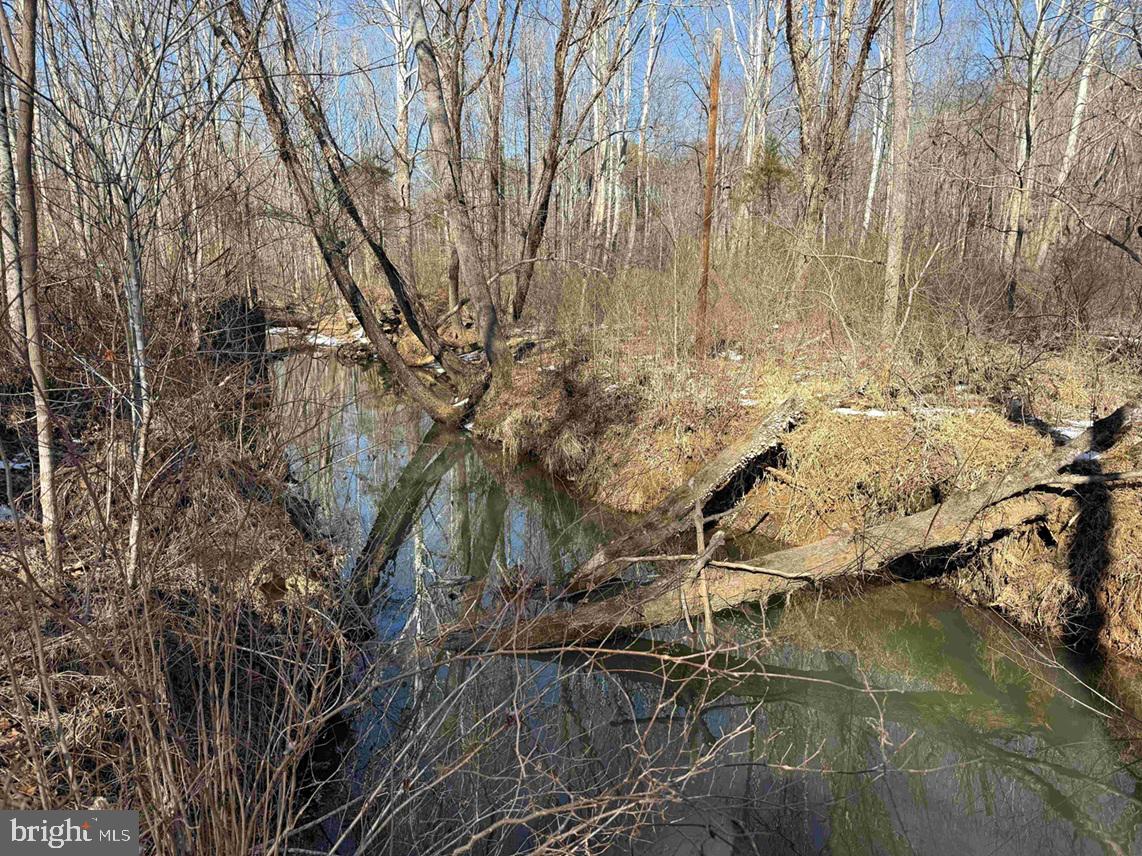 State Hwy. 15 (tract: Tonguequarter) Property Photo 15