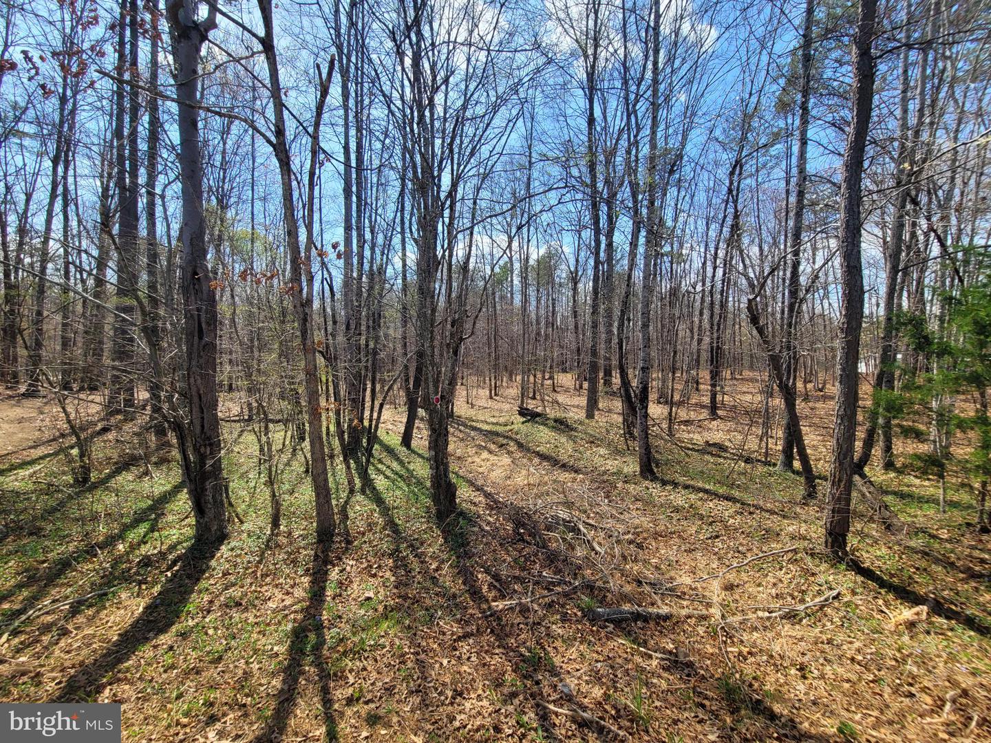 Texas School Rd Property Photo 1