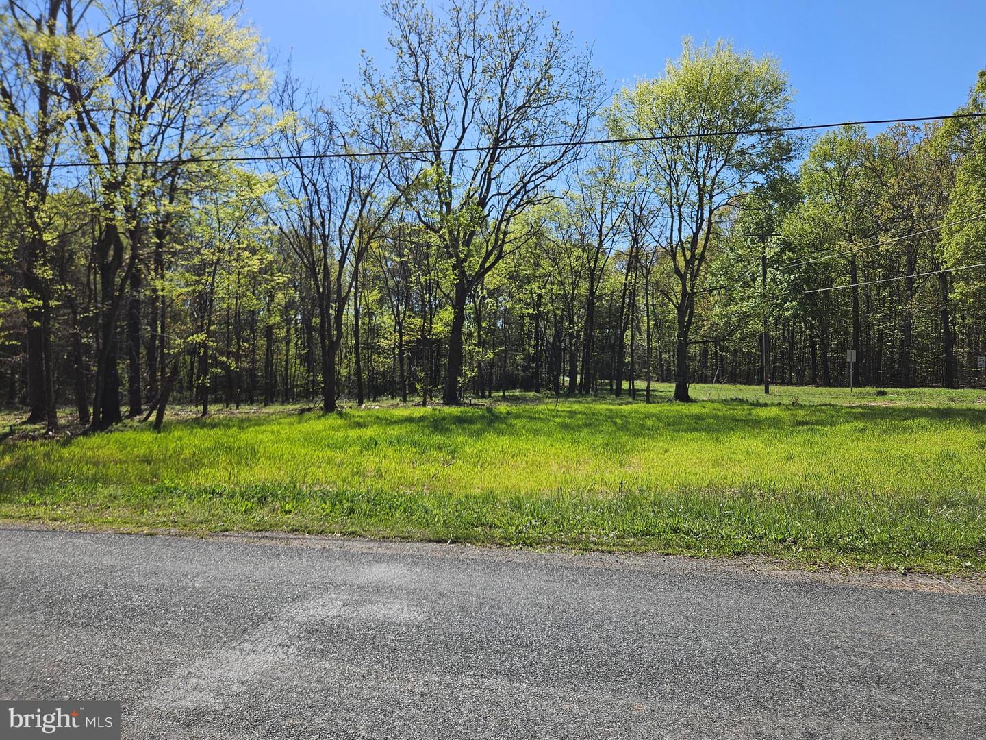 1.4 Ac Physic Spring Rd Property Photo 4