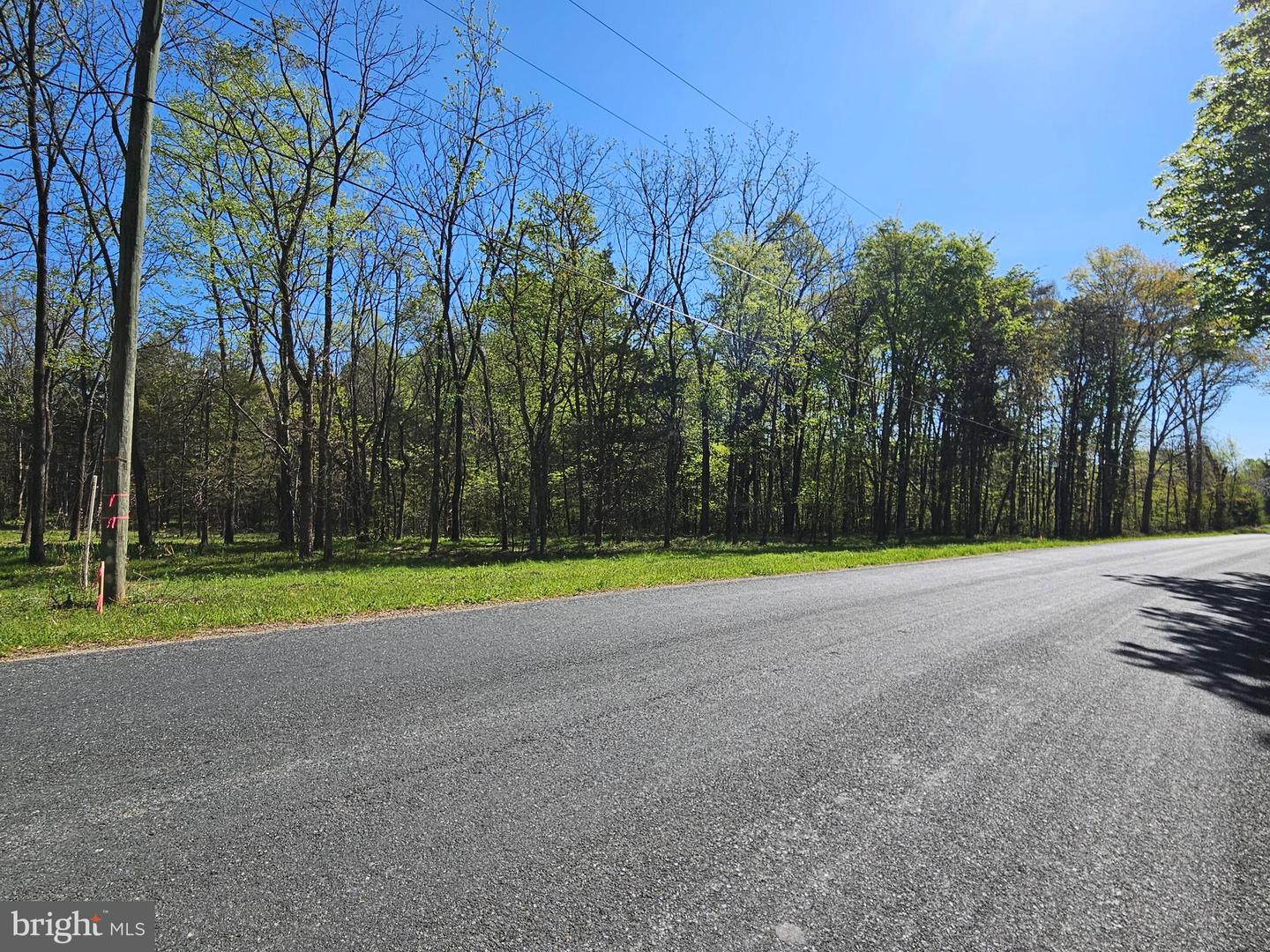 1.4 Ac Physic Spring Rd Property Photo 6