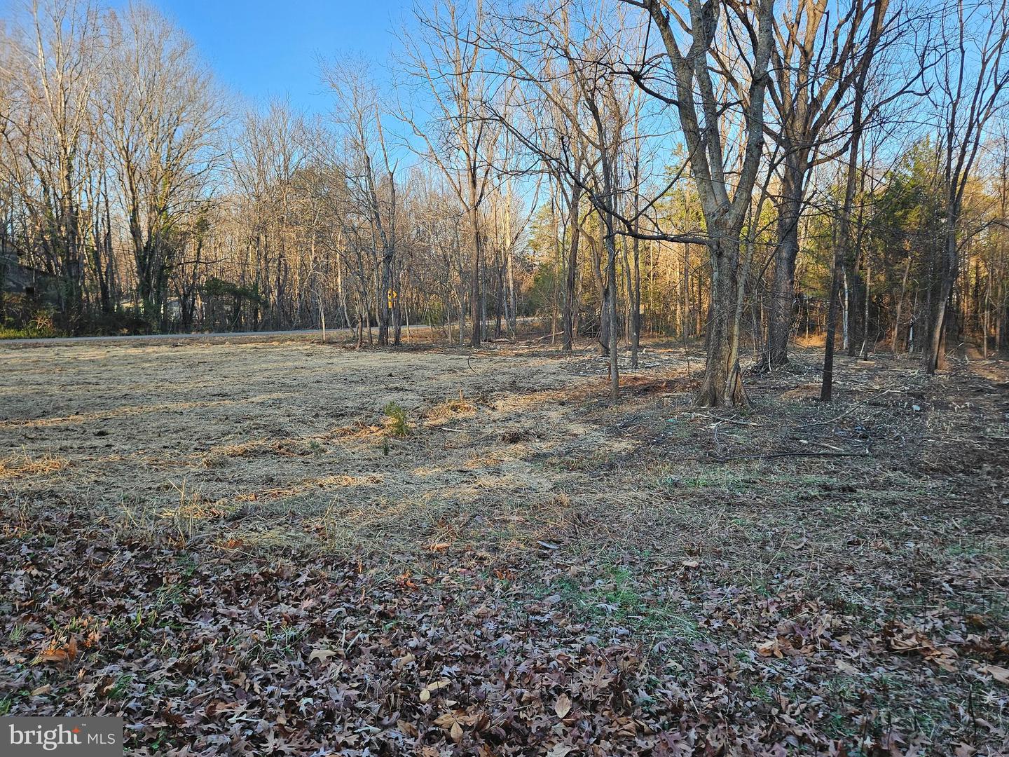 1.4 Ac Physic Spring Rd Property Photo 12