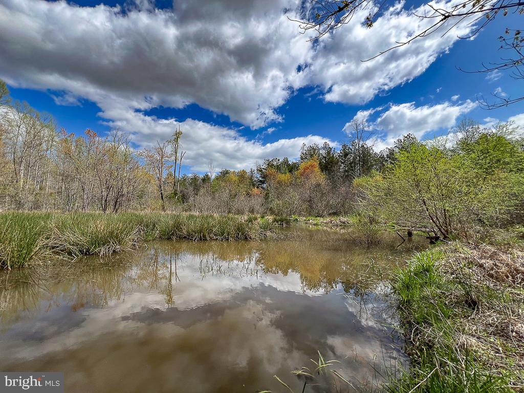 116.32 Acres Gilliam Mill Rd Property Photo 1