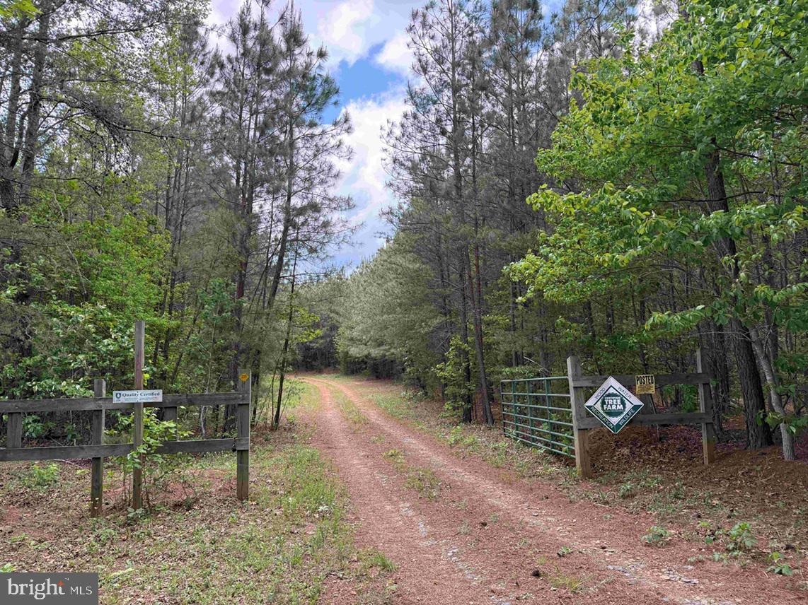 Bell Road (tract: Moore North) Property Photo 1