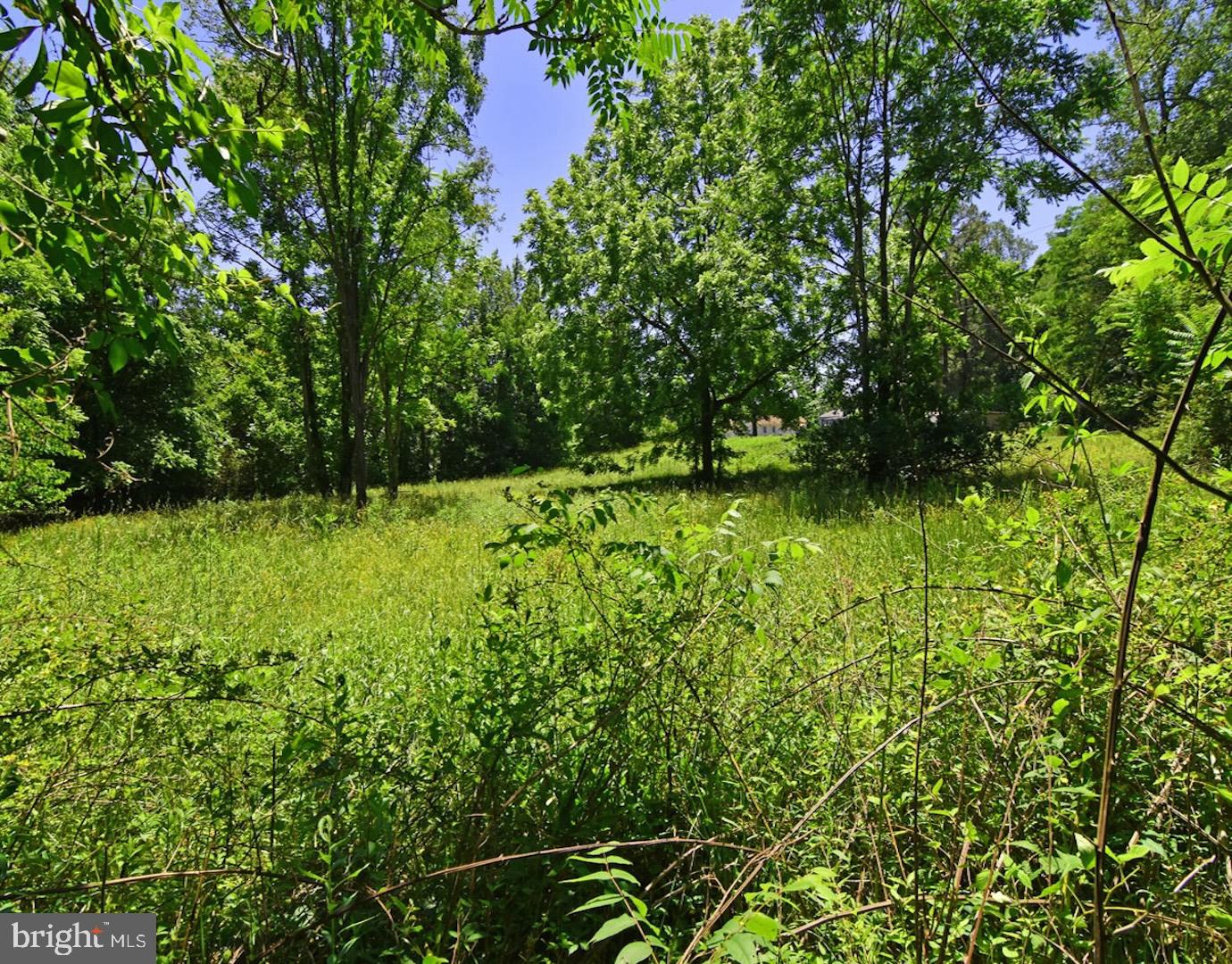 3897 Gravel Hill Rd Property Photo 5