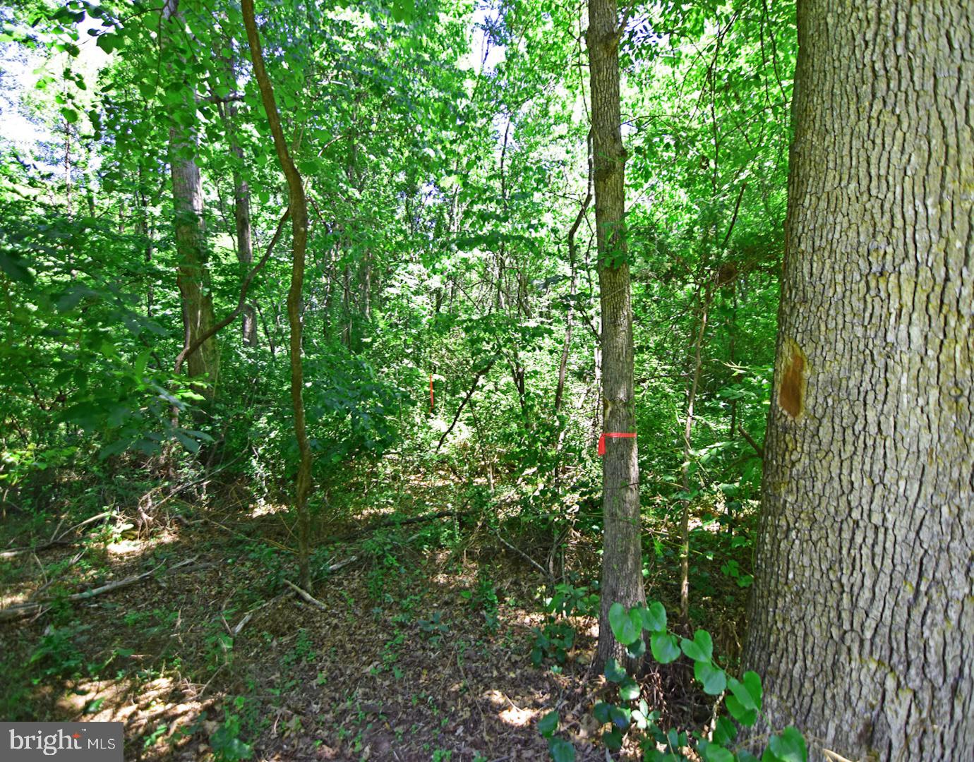 3897 Gravel Hill Rd Property Photo 7