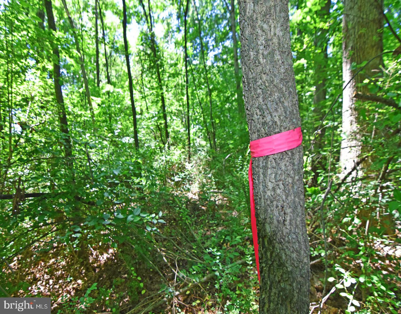 3897 Gravel Hill Rd Property Photo 8